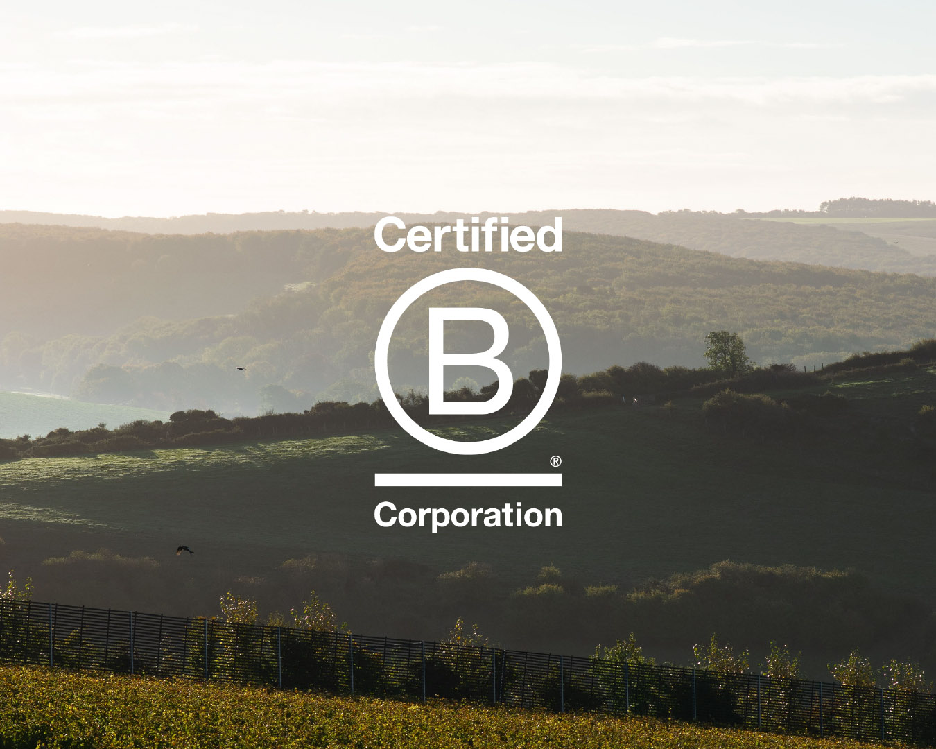 English Sparkling Wine Producer Achieves B Corp