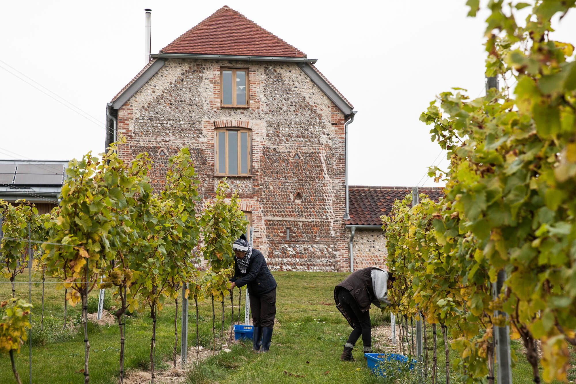 Flint Barns Harvest