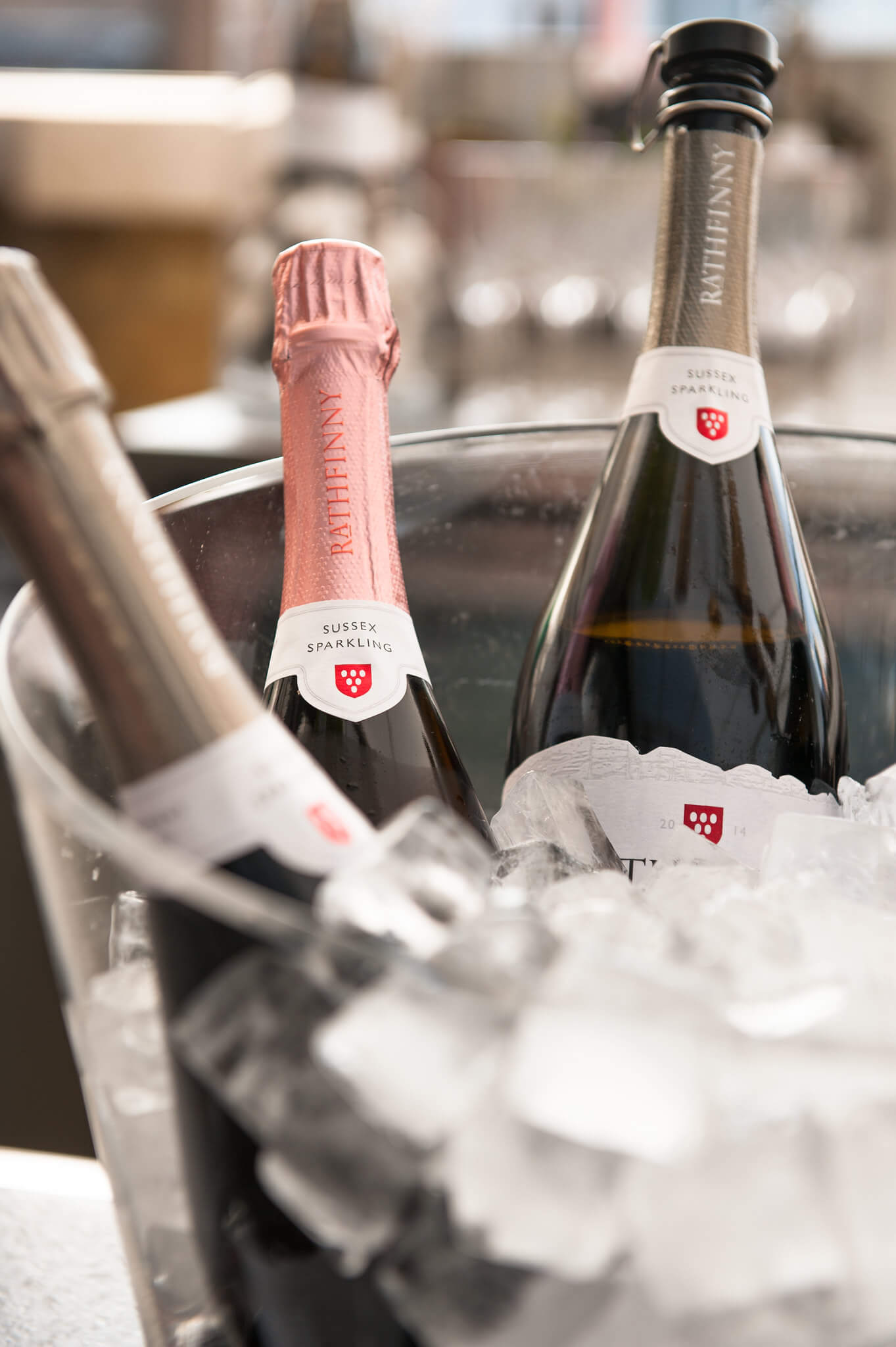 Rose and Blanc de Blancs in Ice Bucket