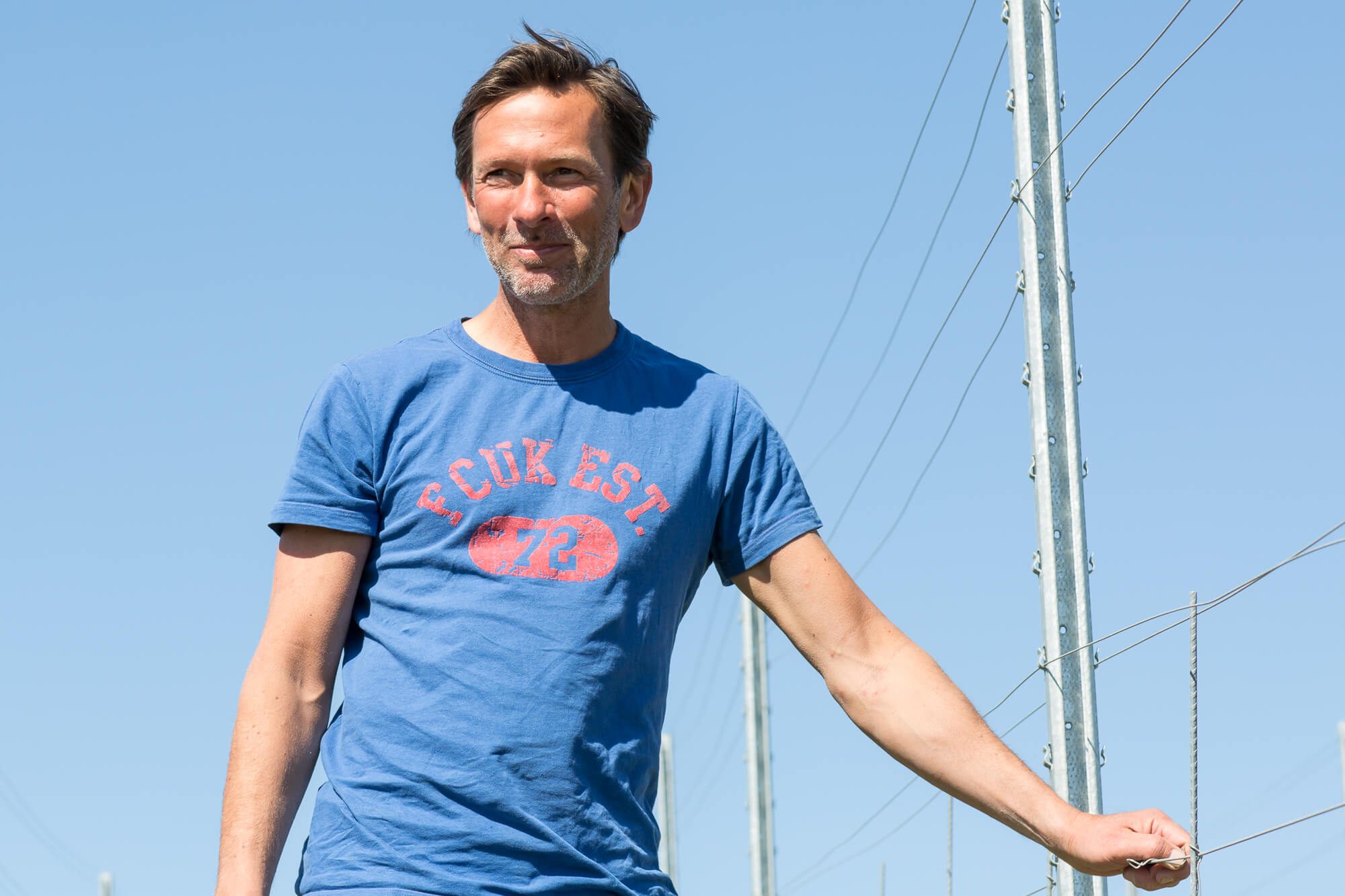 David on the Vineyard