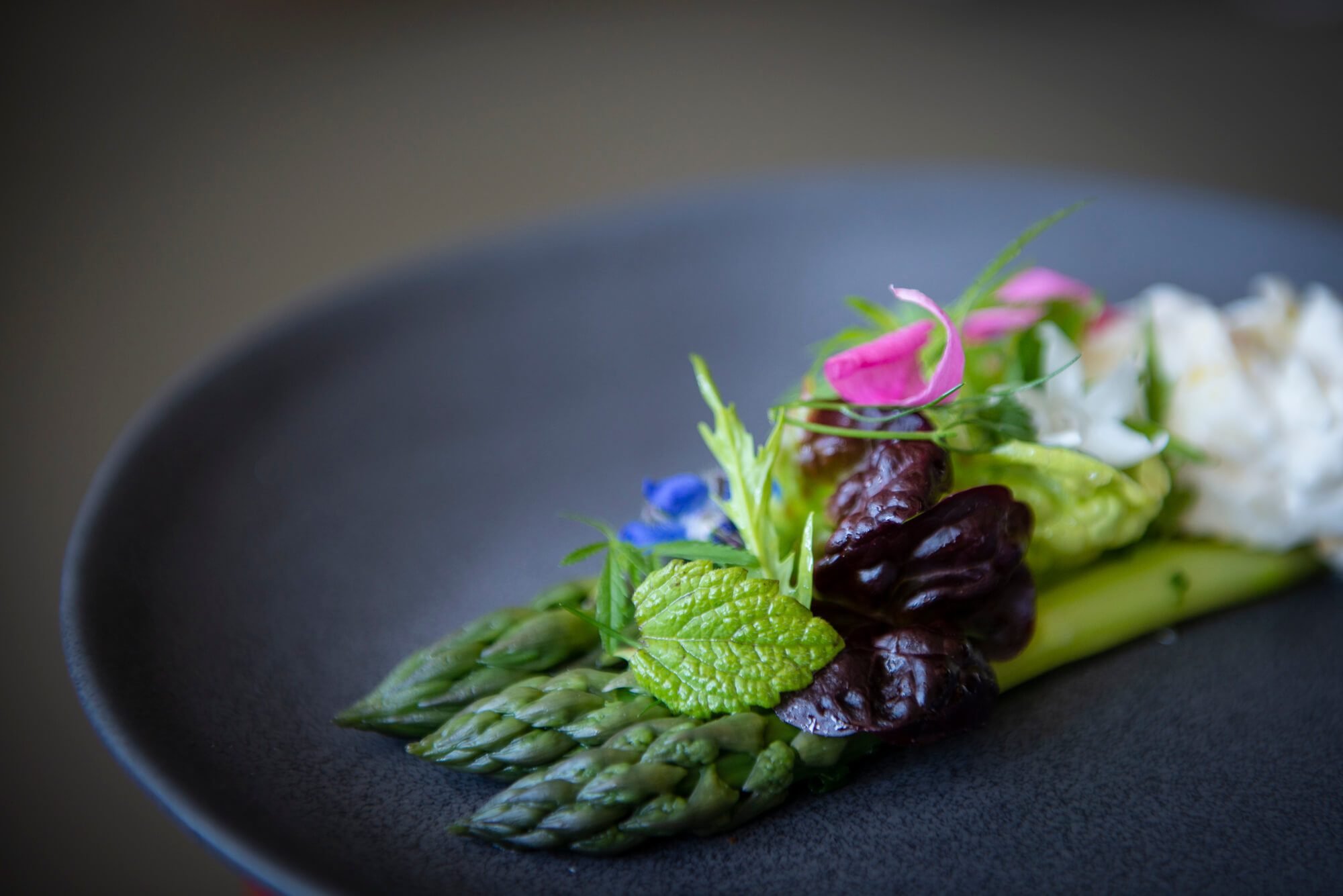 Tasting Room Dish