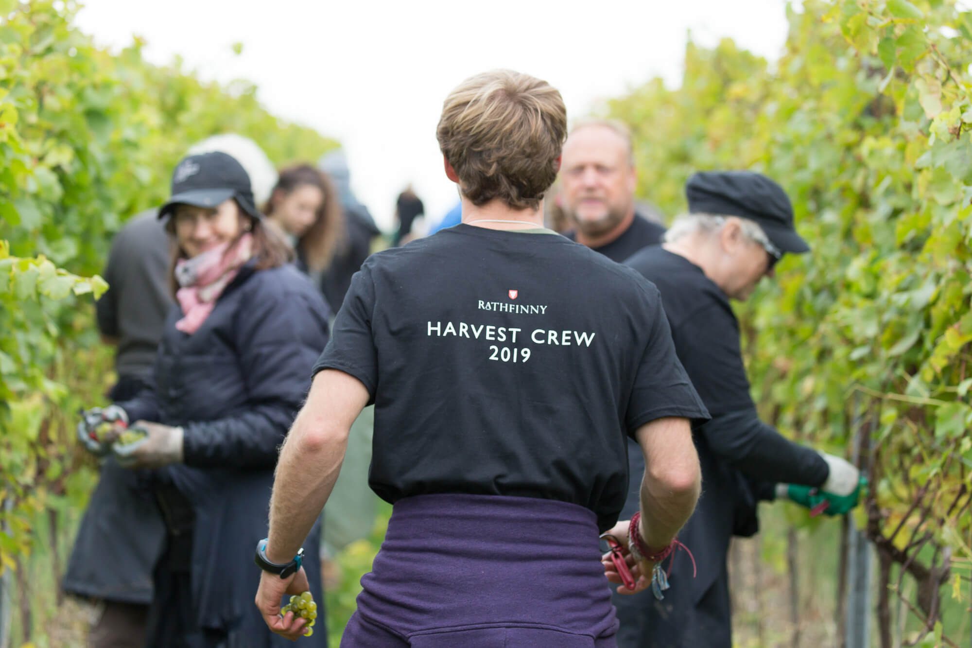 Man walking through vines