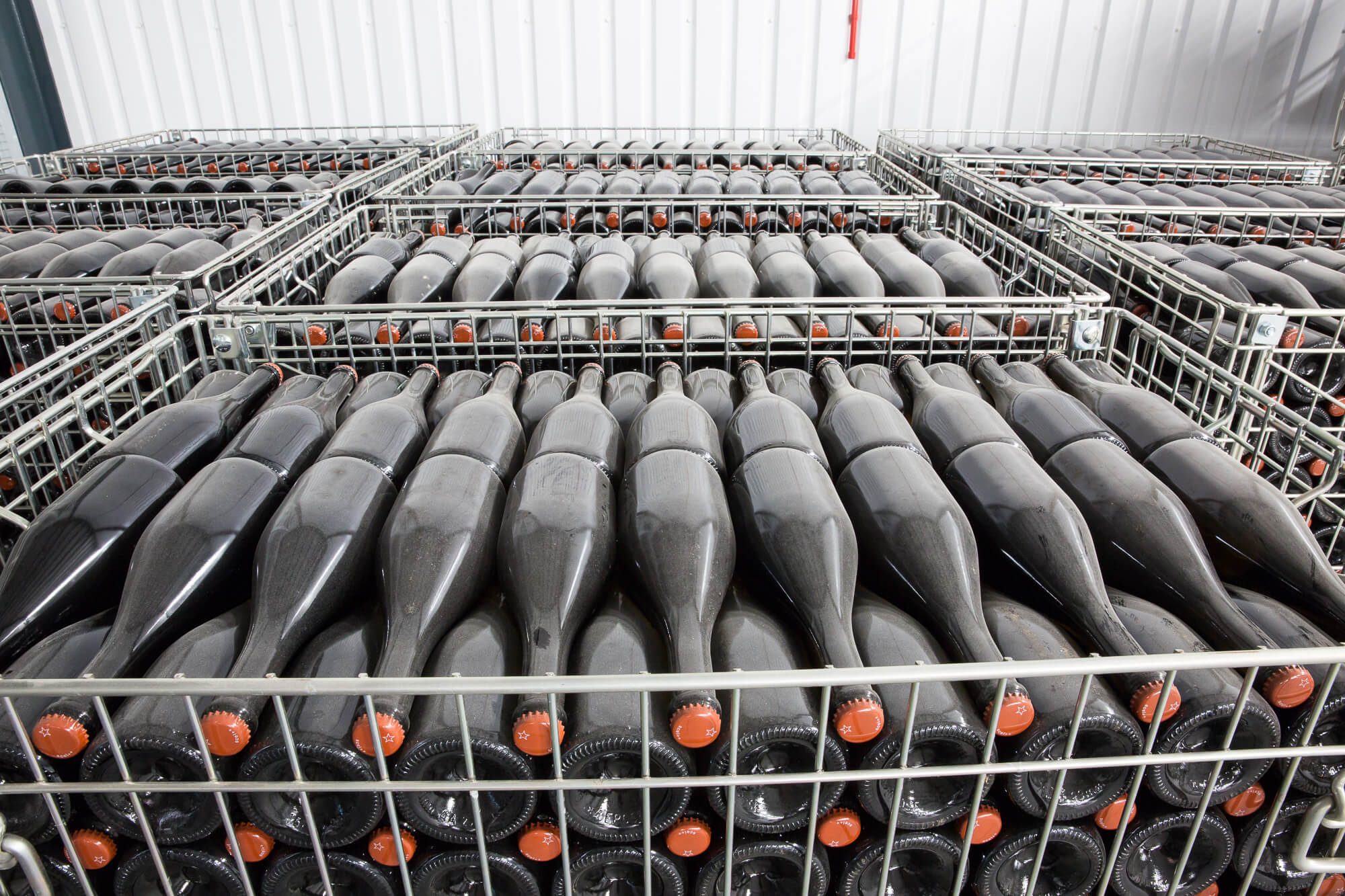 Cellar