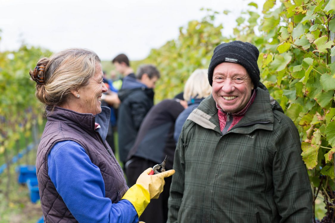 David Harvesting