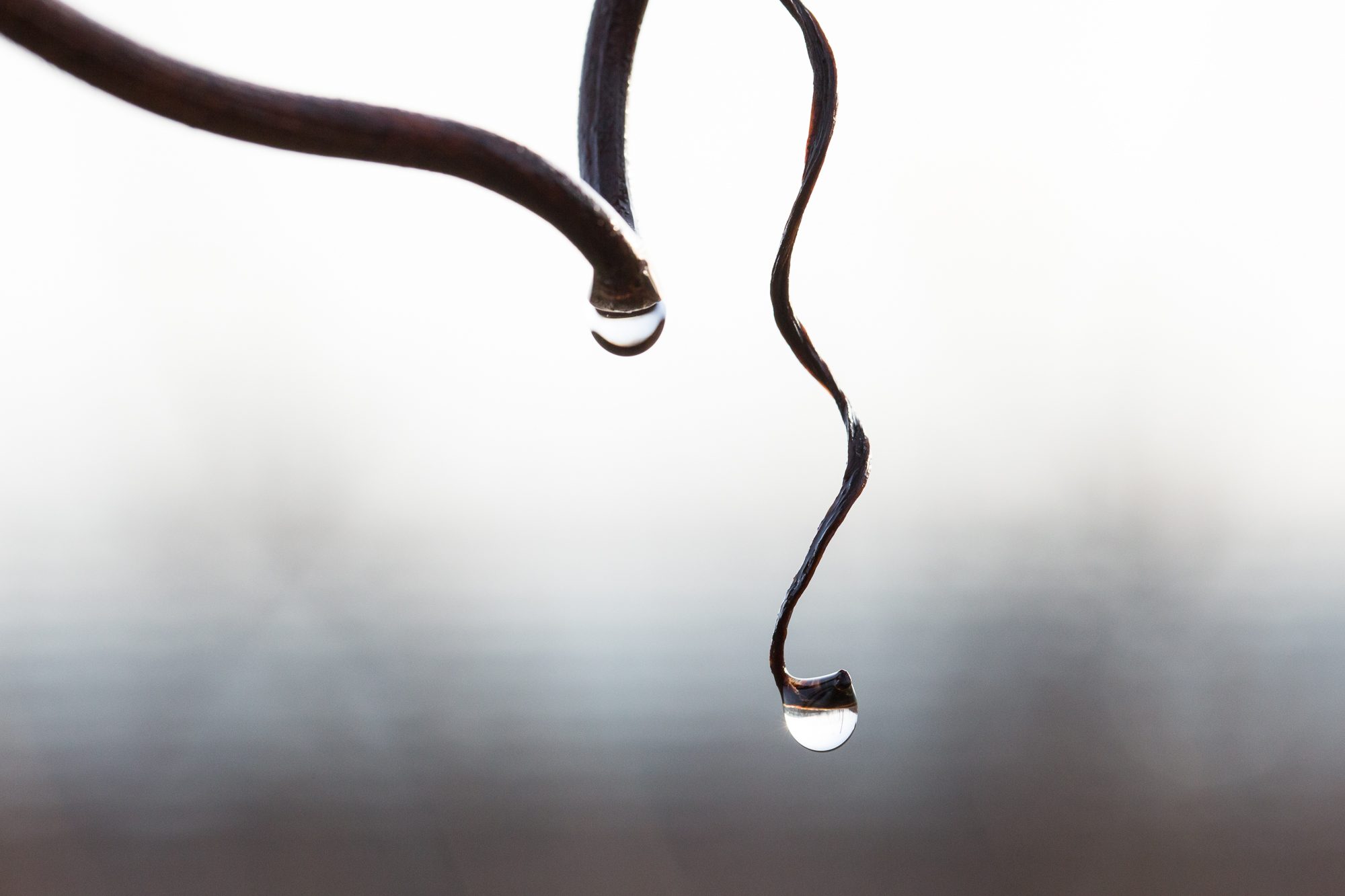 Droplet