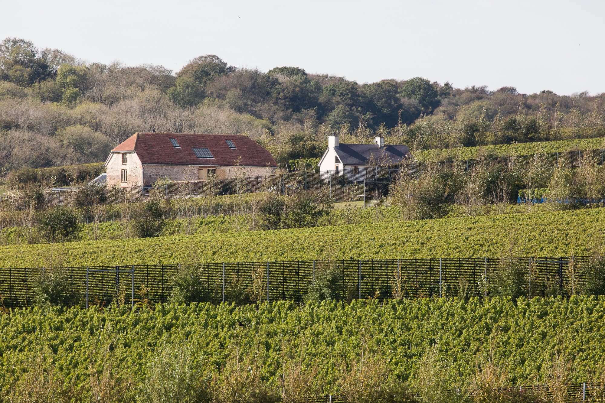 Flint Barns