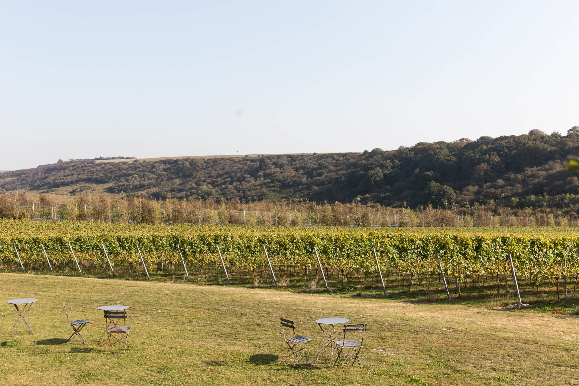 Vineyard B&B In Sussex | Wine Tasting Overnight Stays | Rathfinny