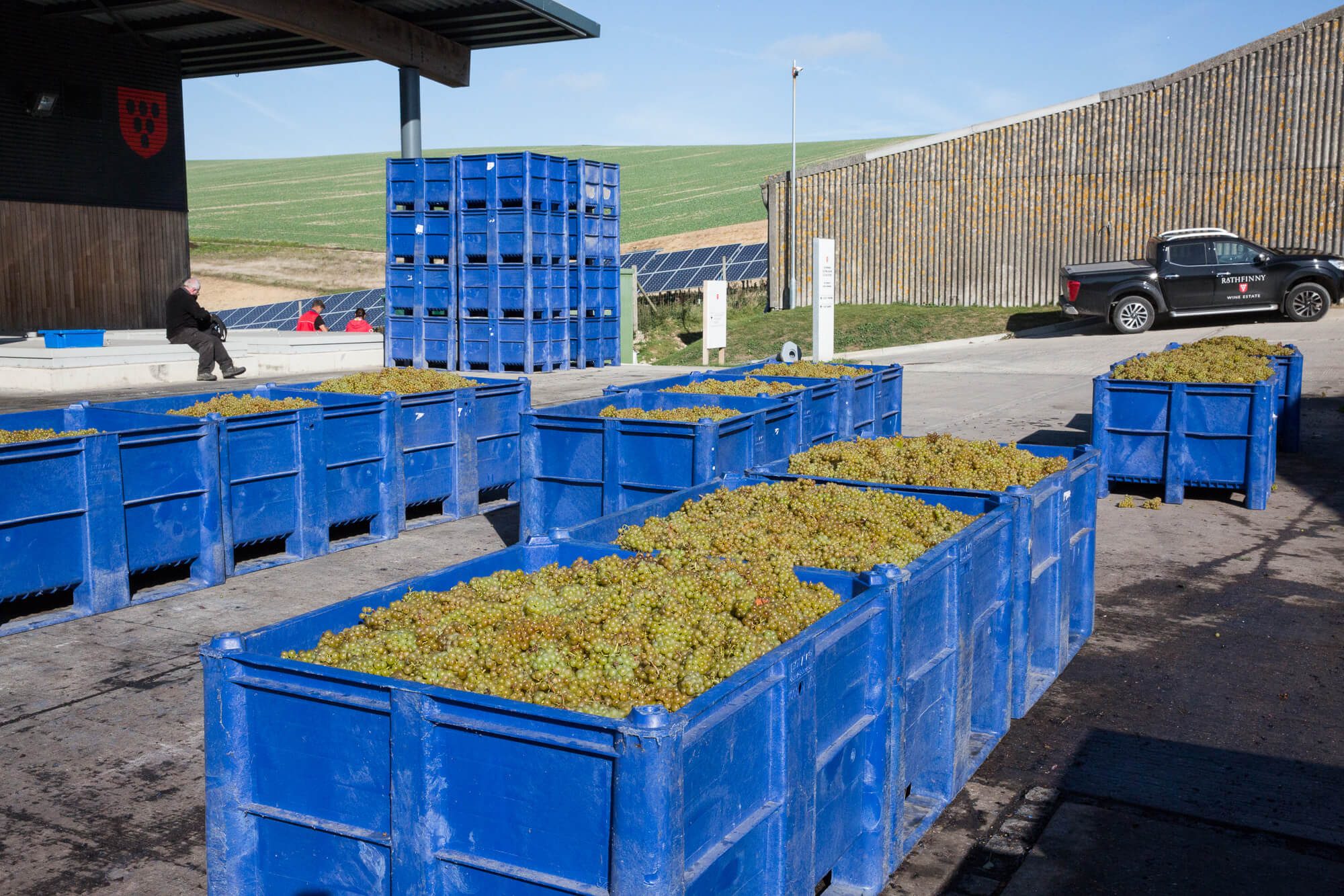 Big Grape Box