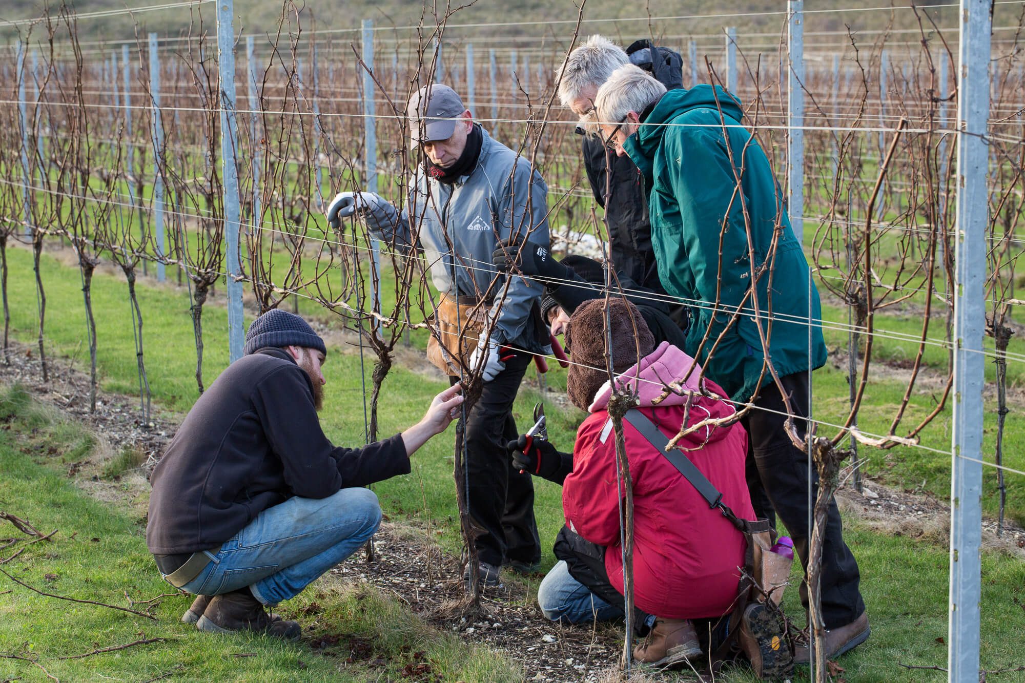 Group Pruning