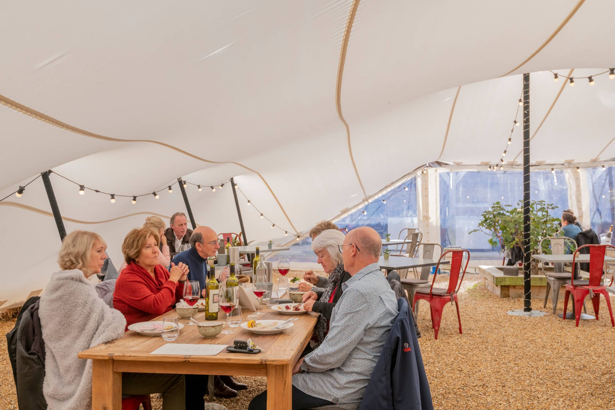 Harvest 2020 Marquee