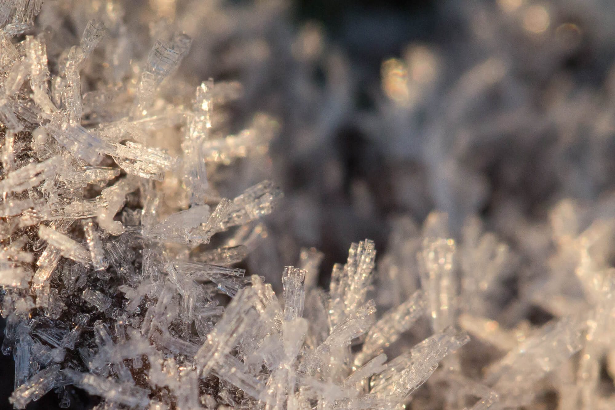 Ice