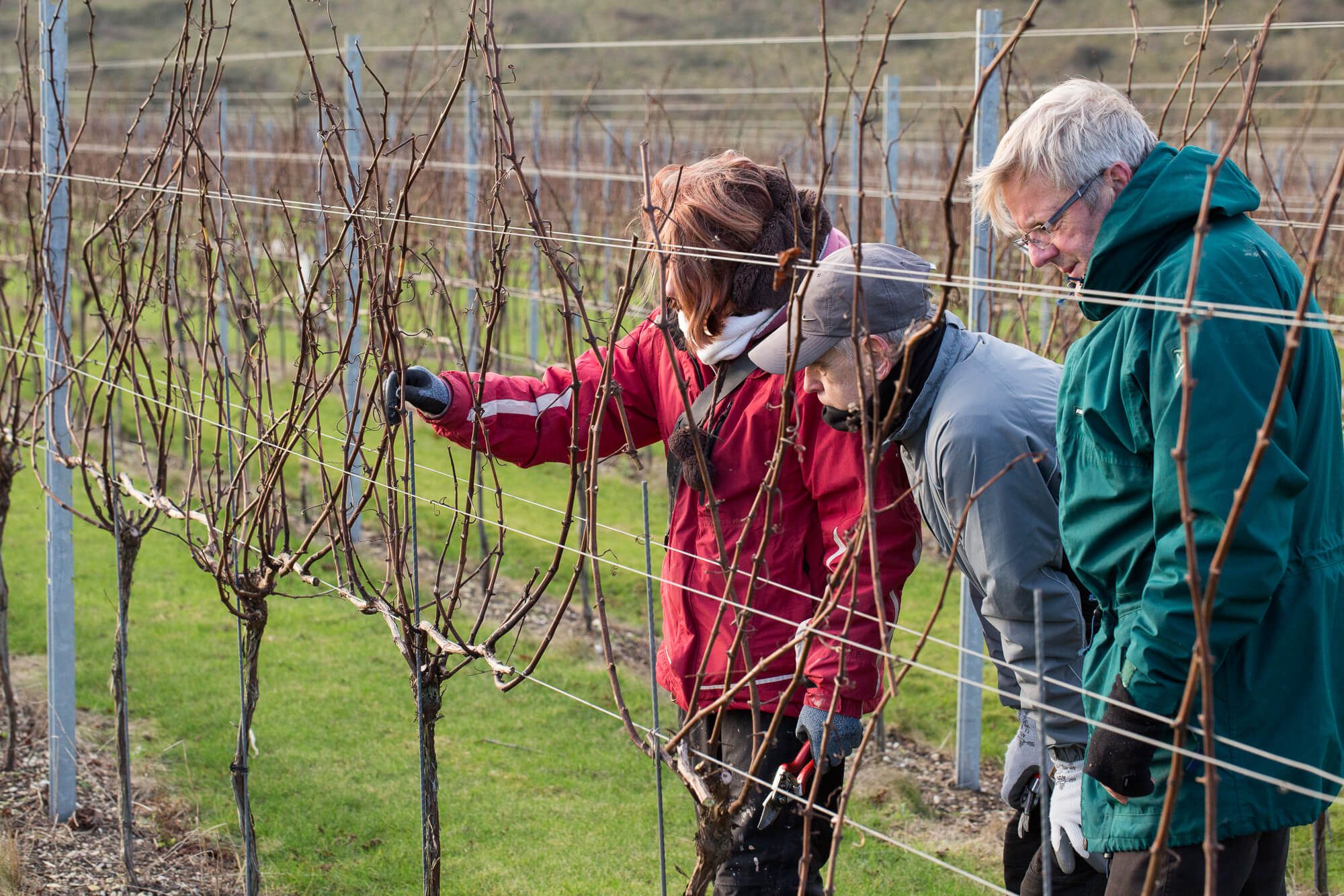 Learning to Prune