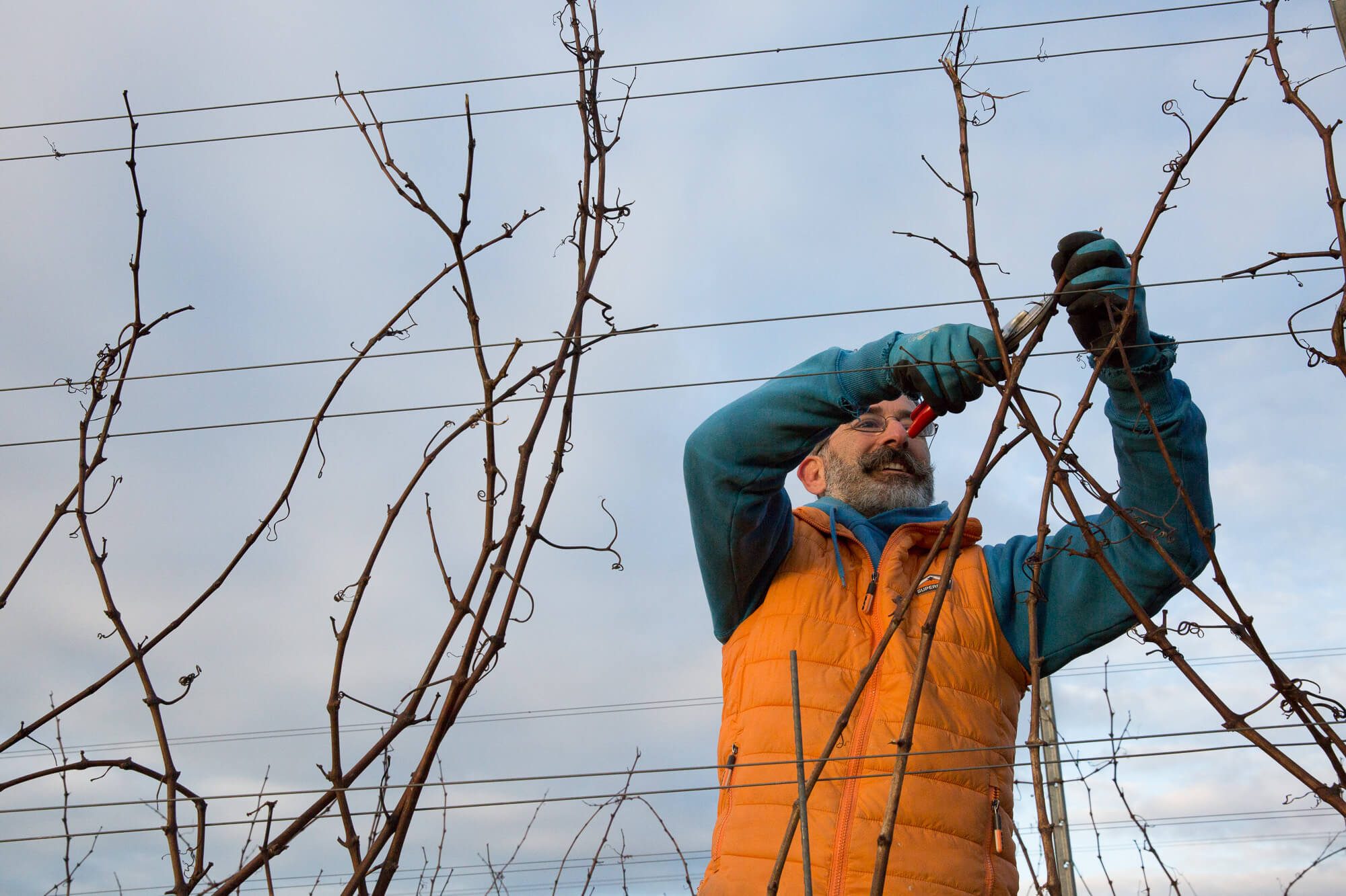 Man Pruning
