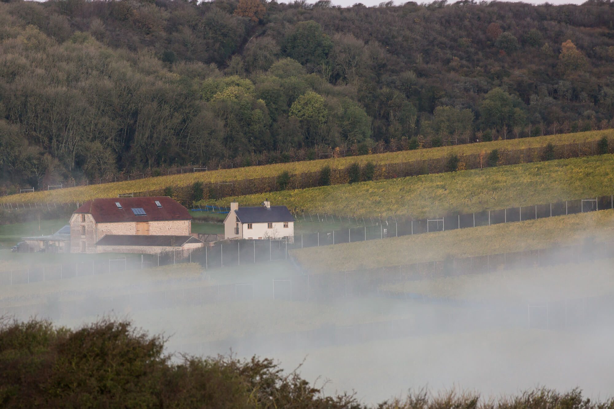 Mist Over the Flint Barns