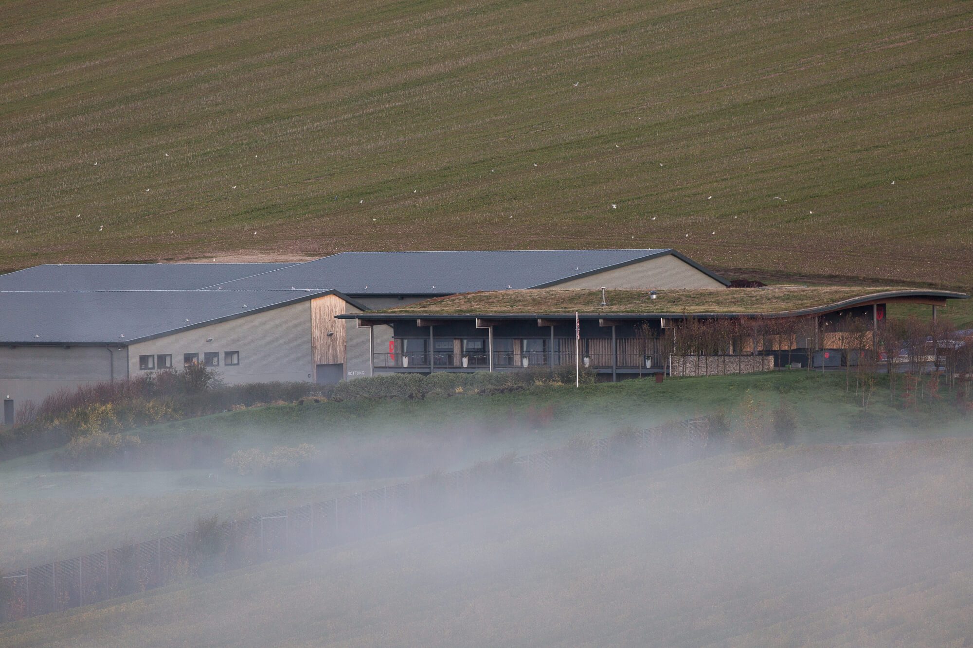 Mist Over the Tasting Room