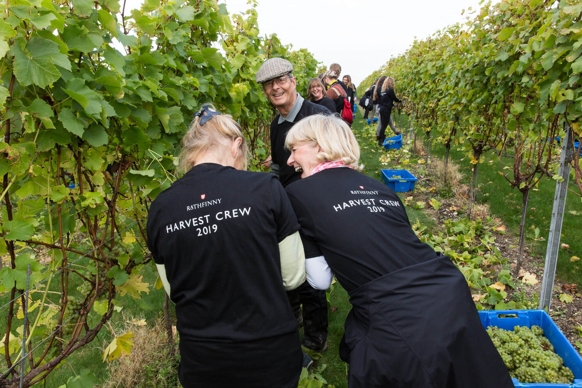 Picking Team Laughing