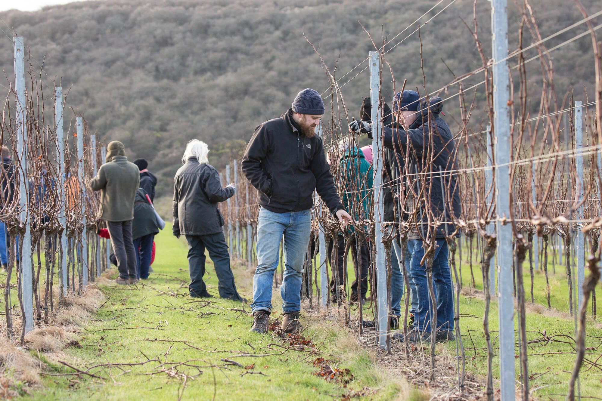 Pruning Team