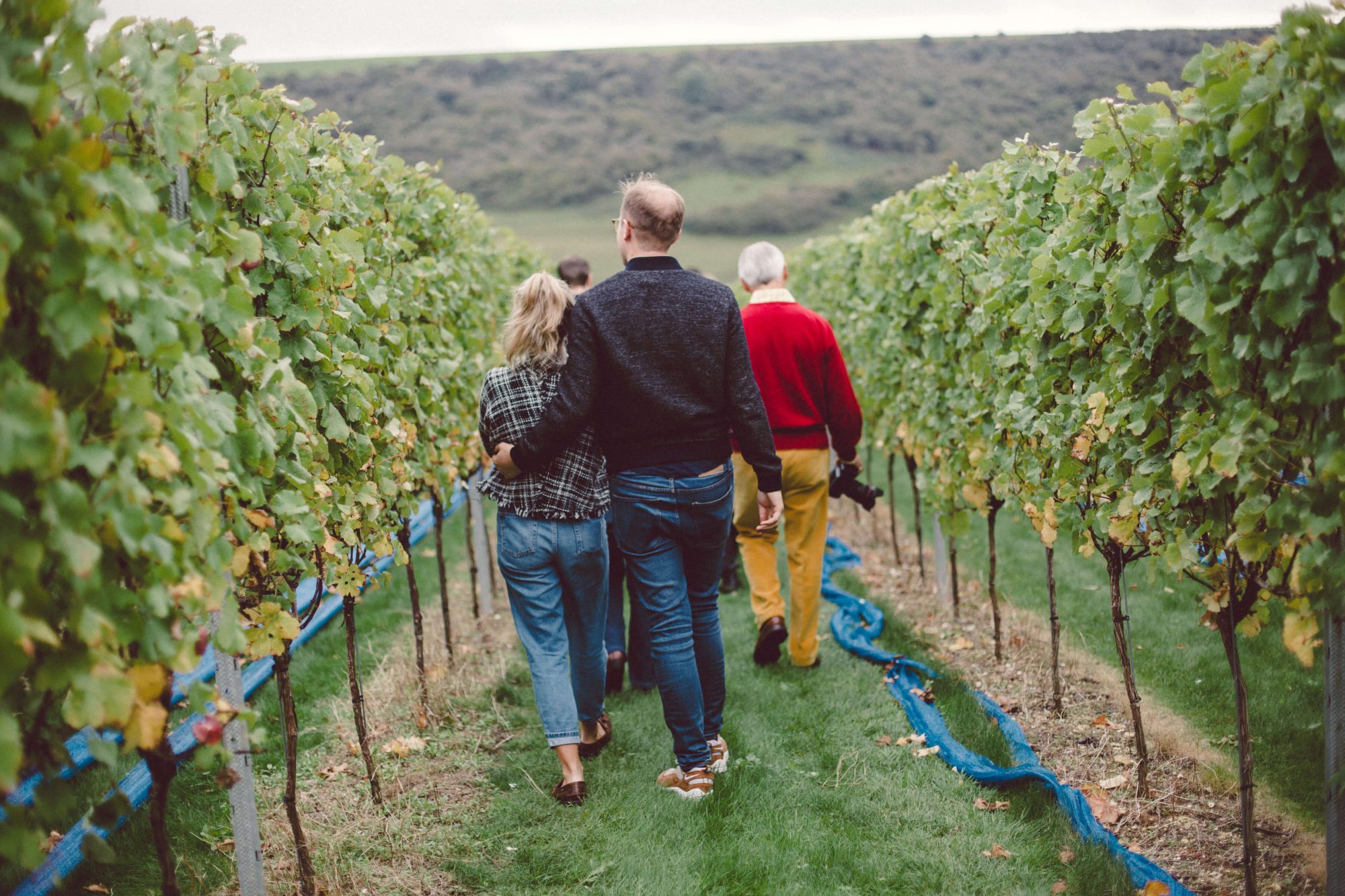 Rathfinny Vineyard Tour