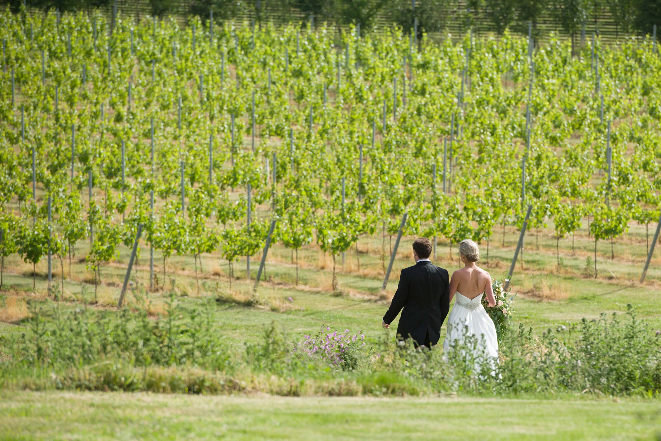 Vineyard wedding venue