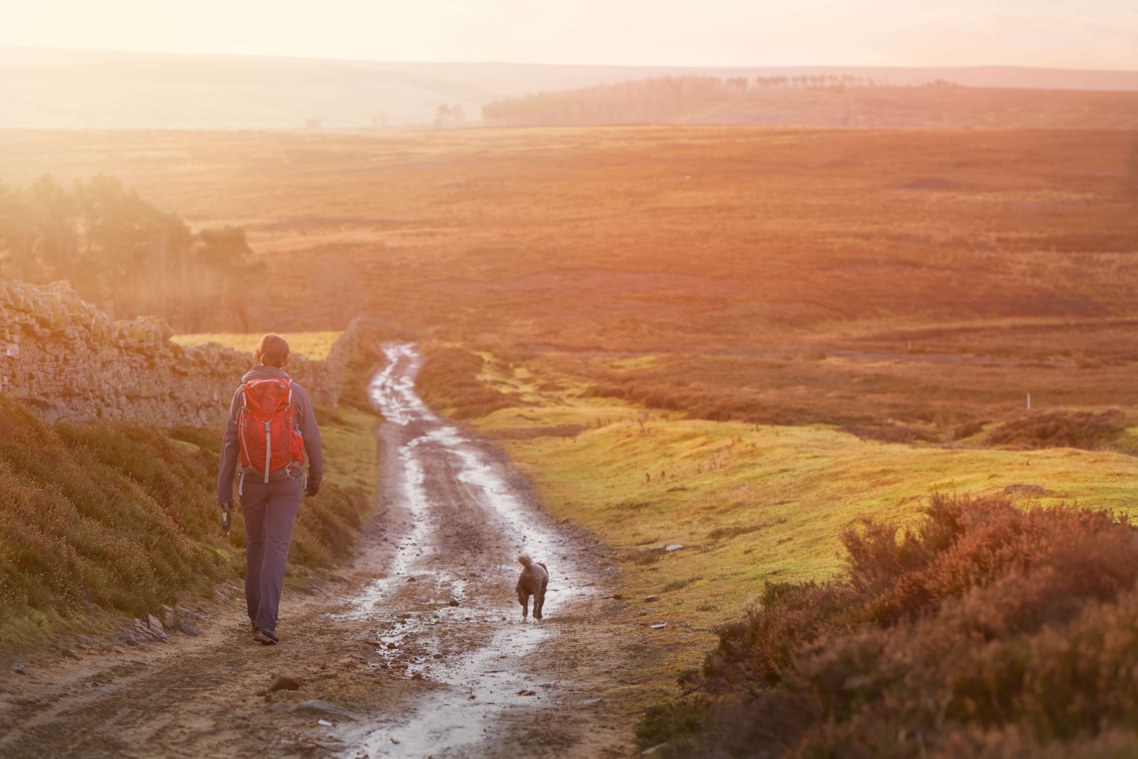 South Downs of Sussex Walking