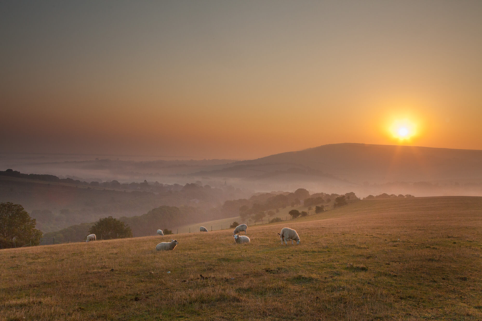 South Downs of Sussex