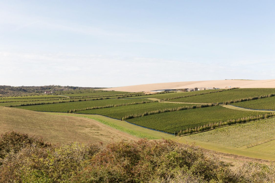 View of Rathfinny Blue Skies October 2020