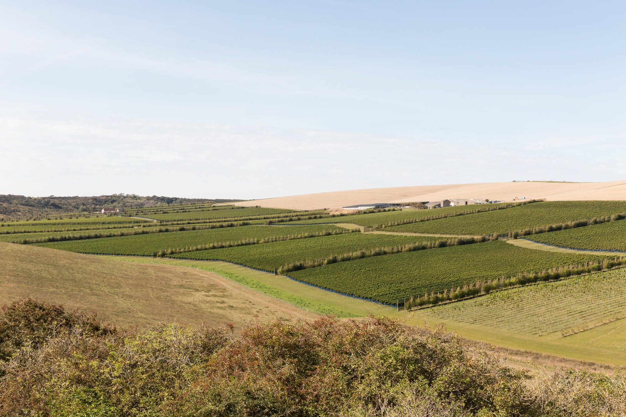View of Rathfinny Blue Skies October 2020