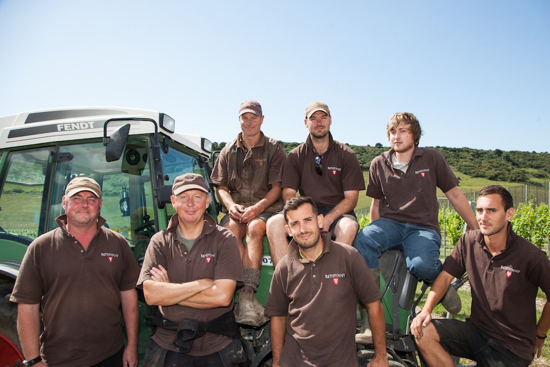 Vineyard Team