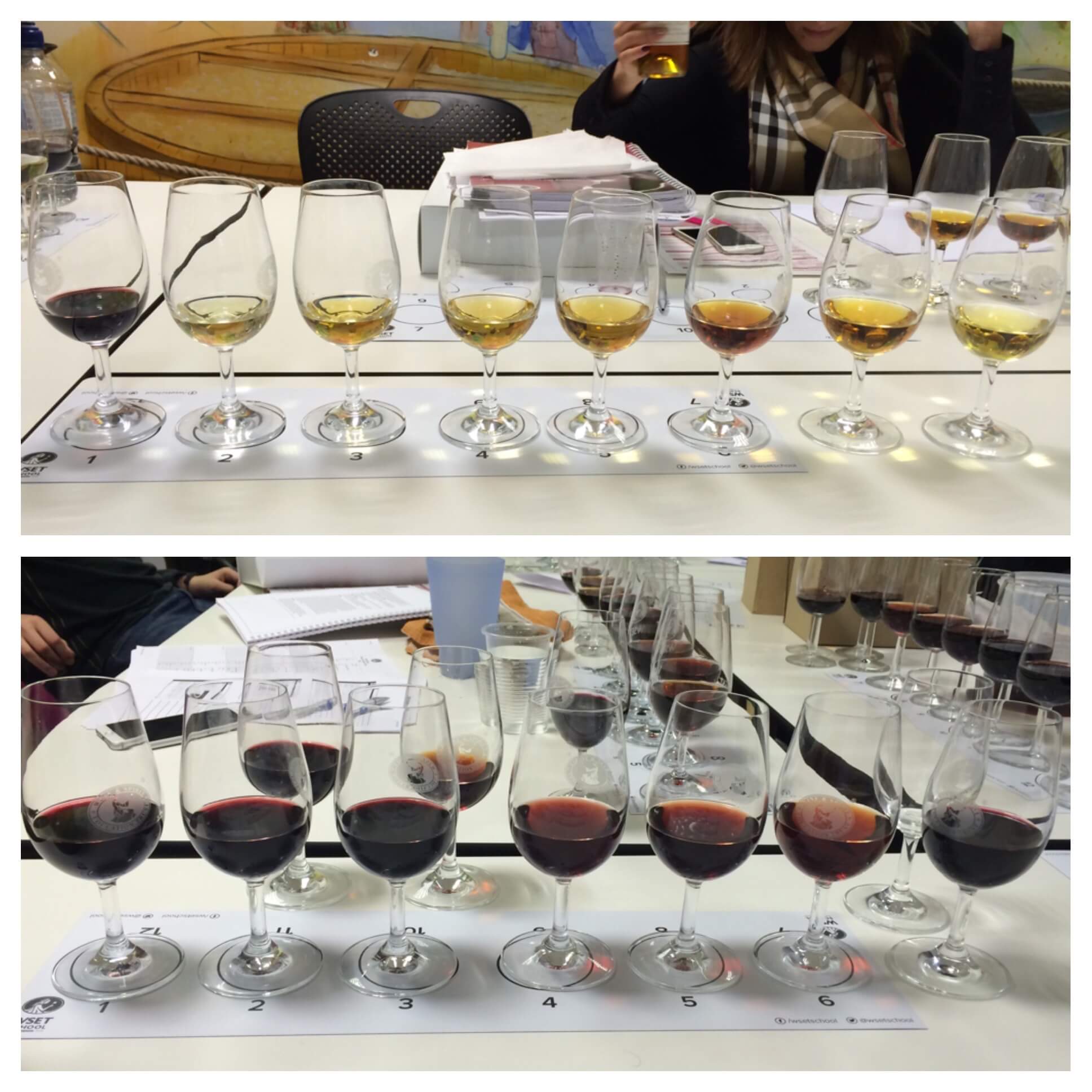 Wine Tasting Glasses