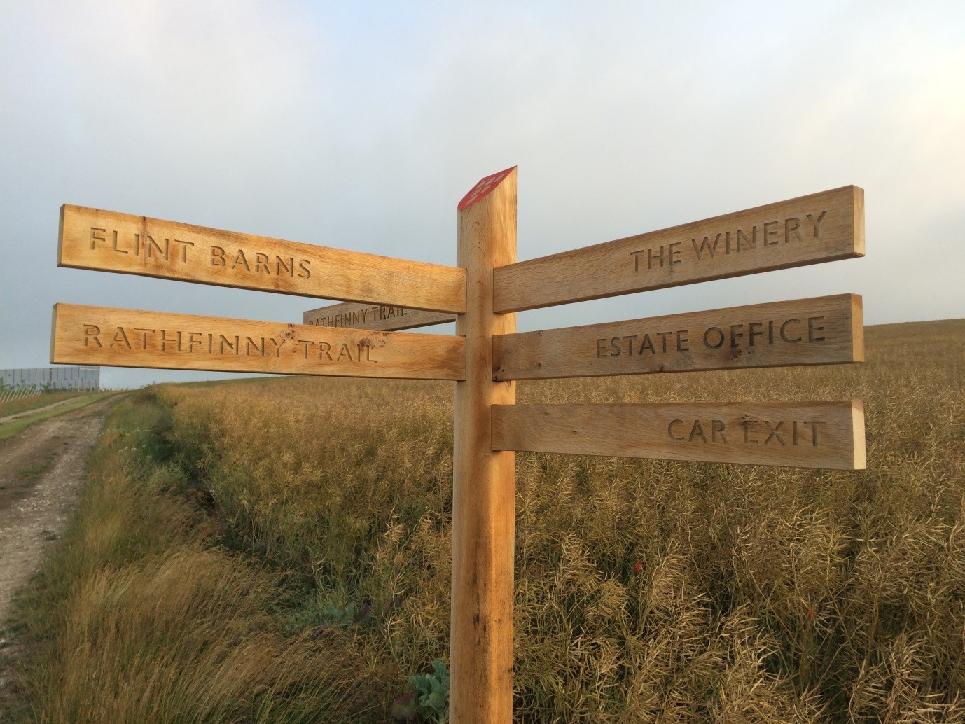 Rathfinny Trail signpost