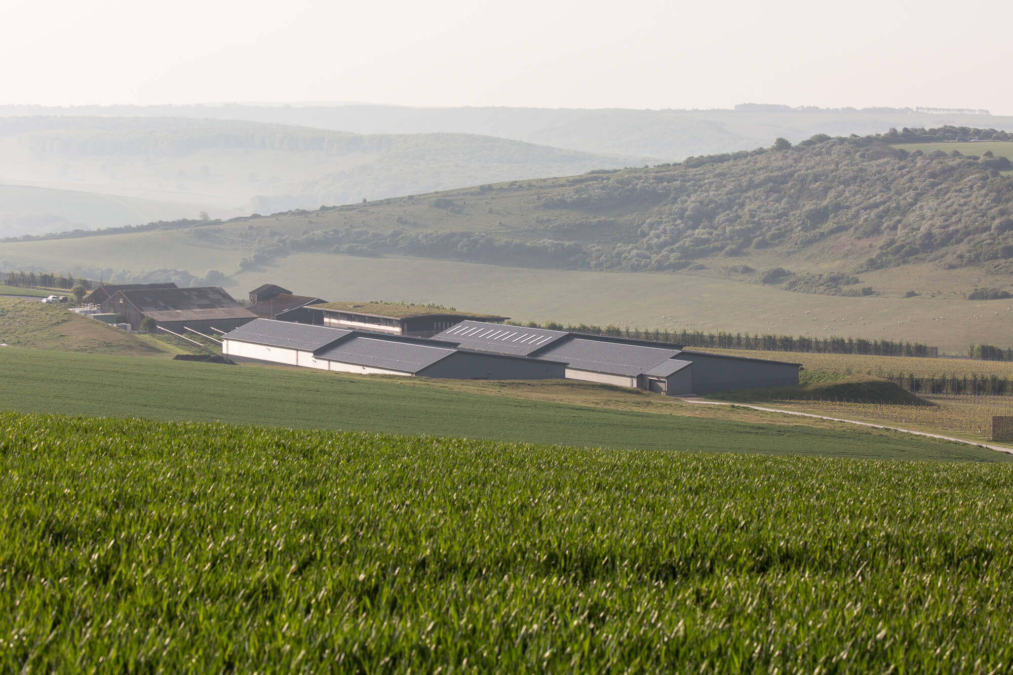 Rathfinny Winery