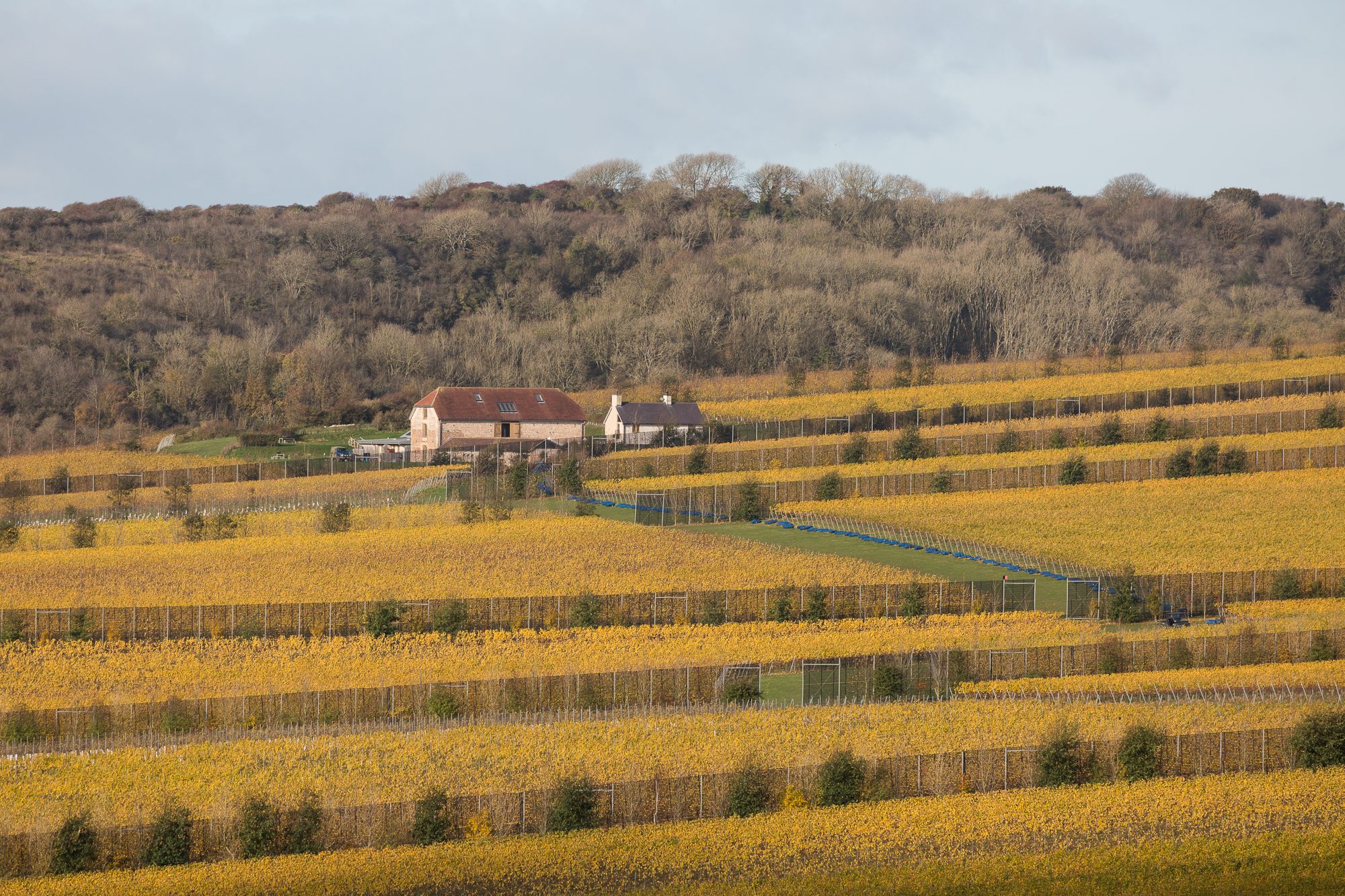 Flint Barns Autumn November 2020