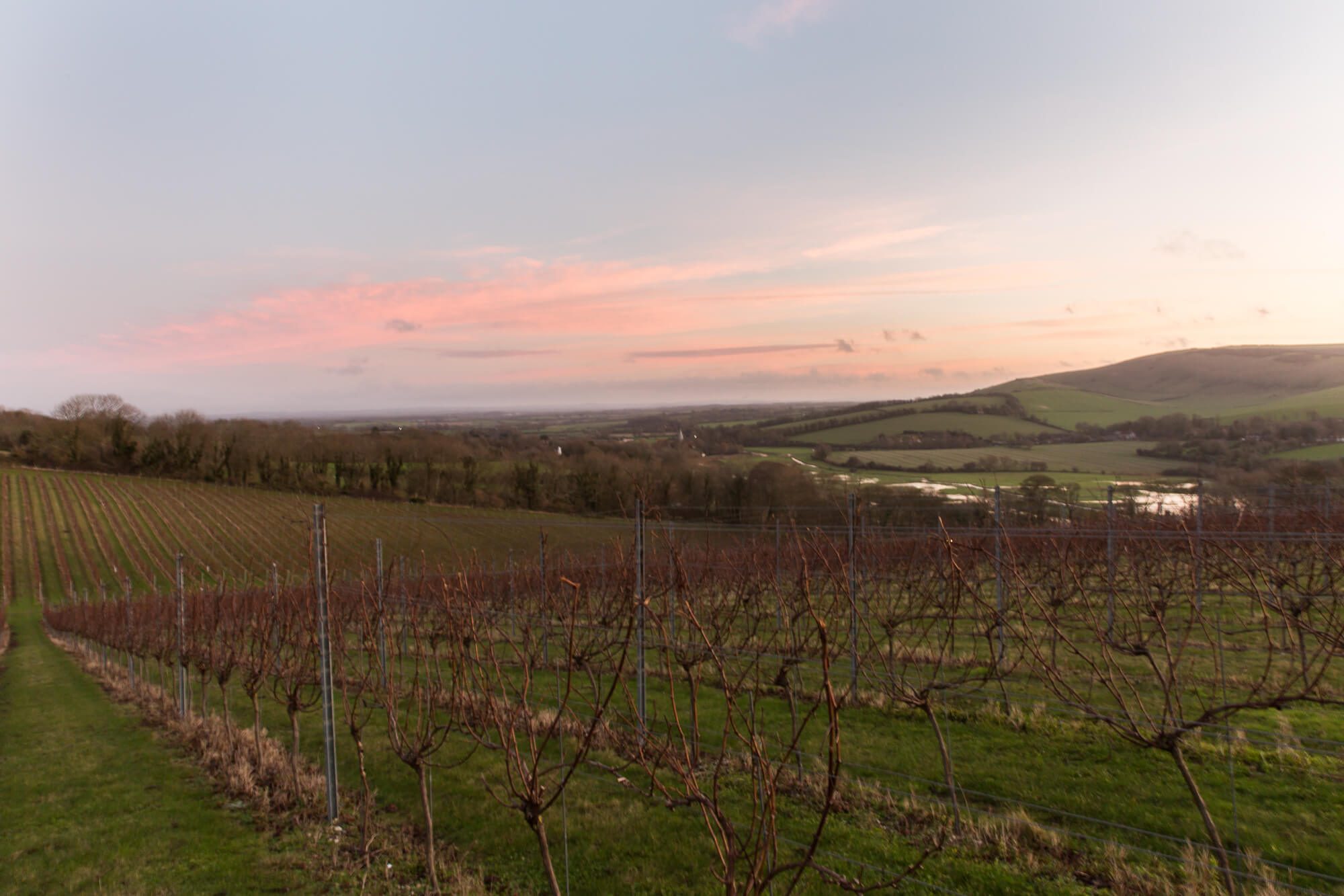 Rathfinny Sunrise