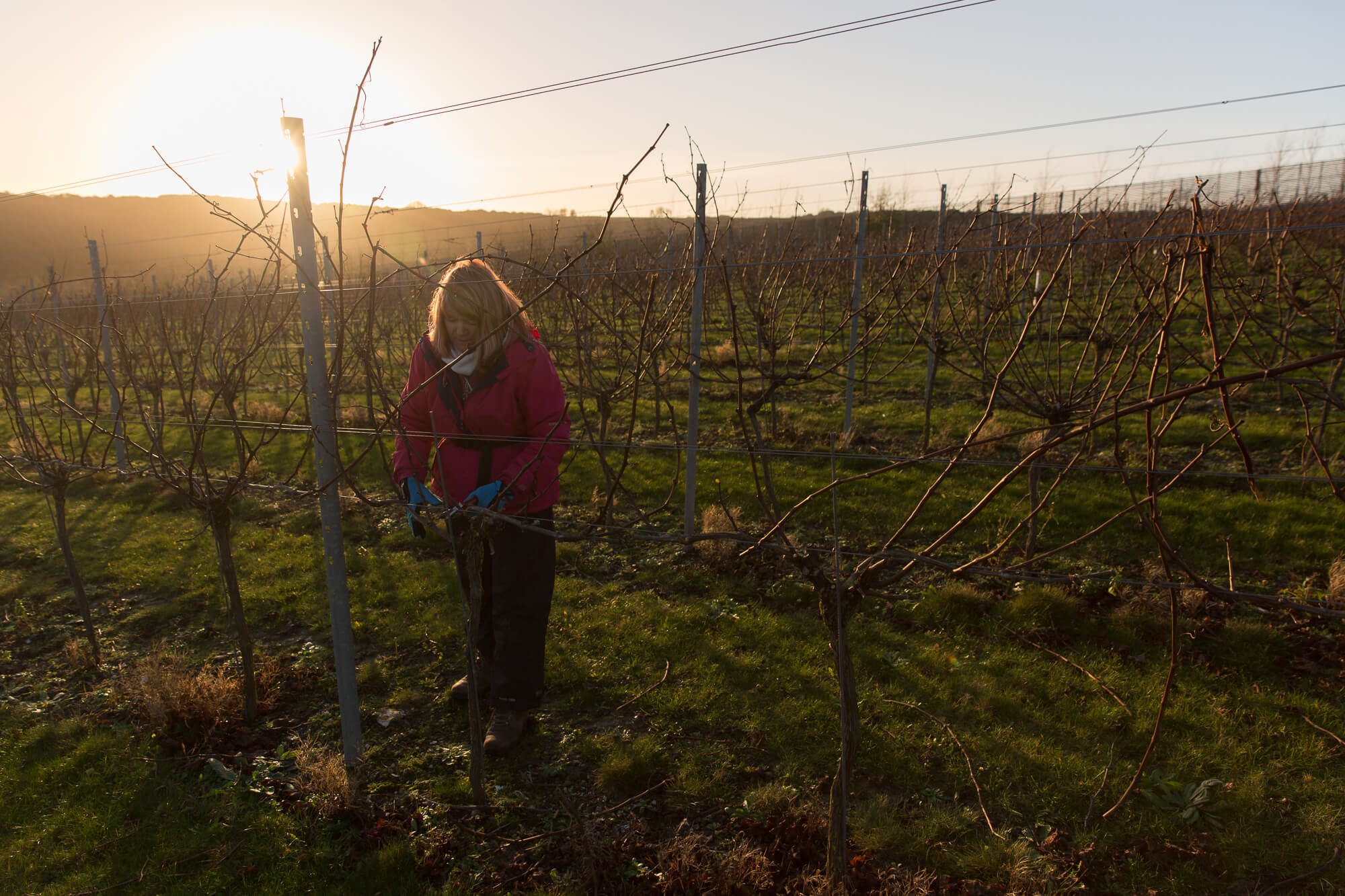Woman Pruning
