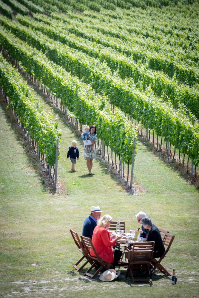 Vineyard Picnics