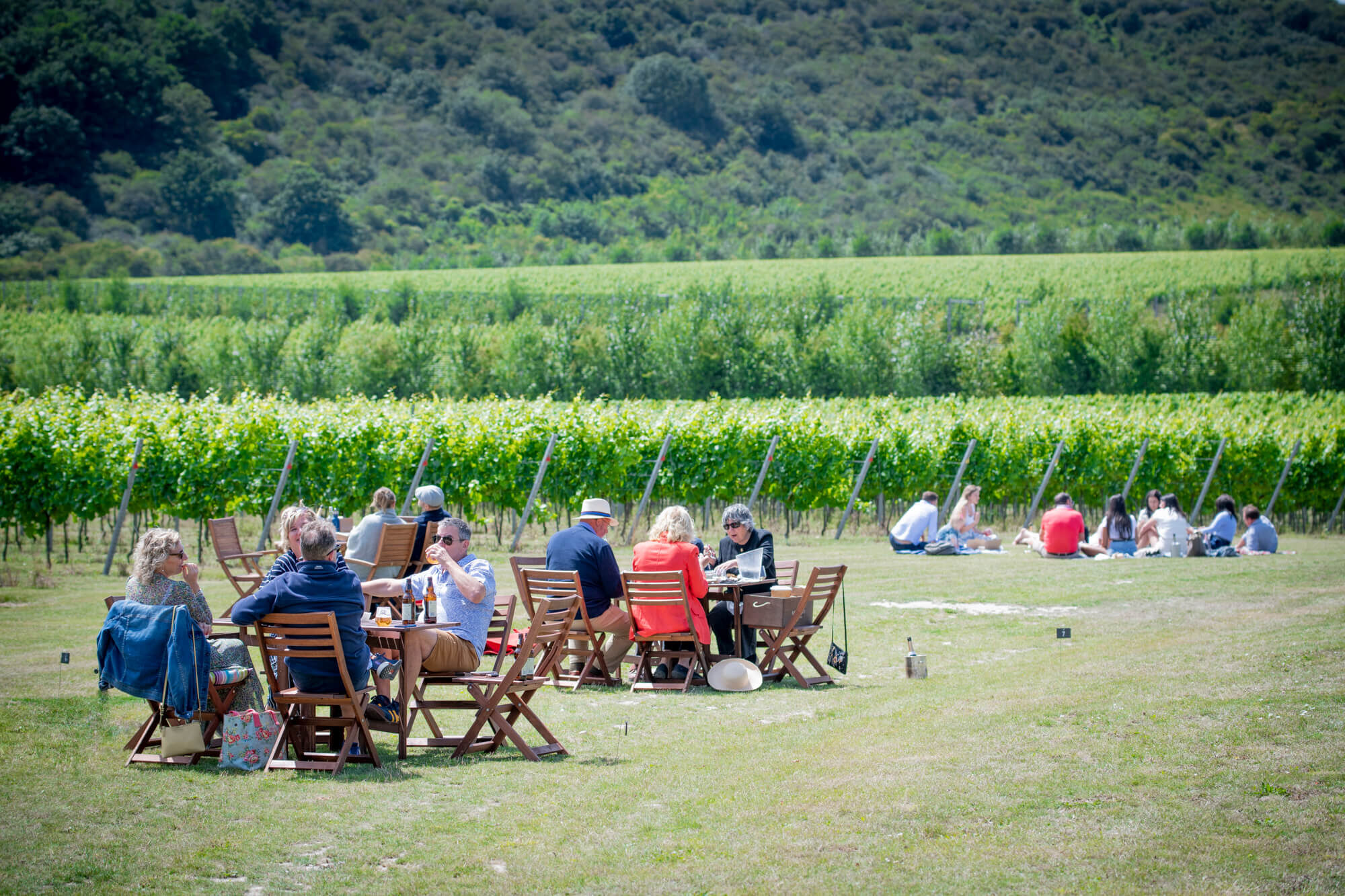 Vineyard Restaurants Rathfinny Wine Estate