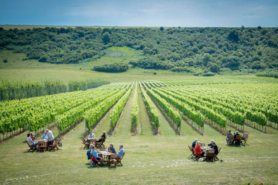 Rathfinny Vineyard Picnics