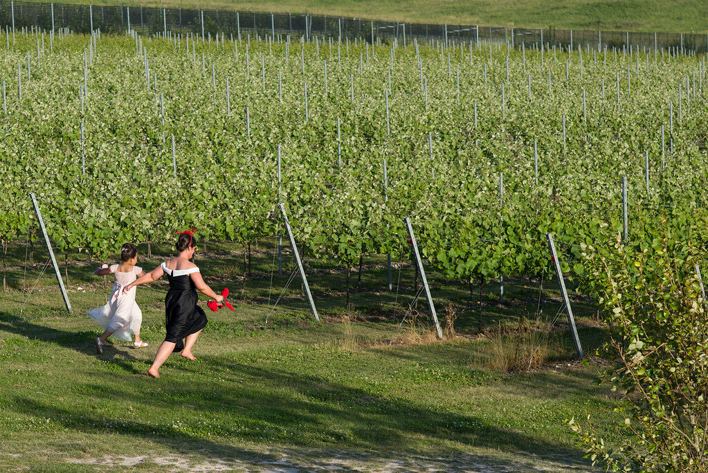 Running through the Vines