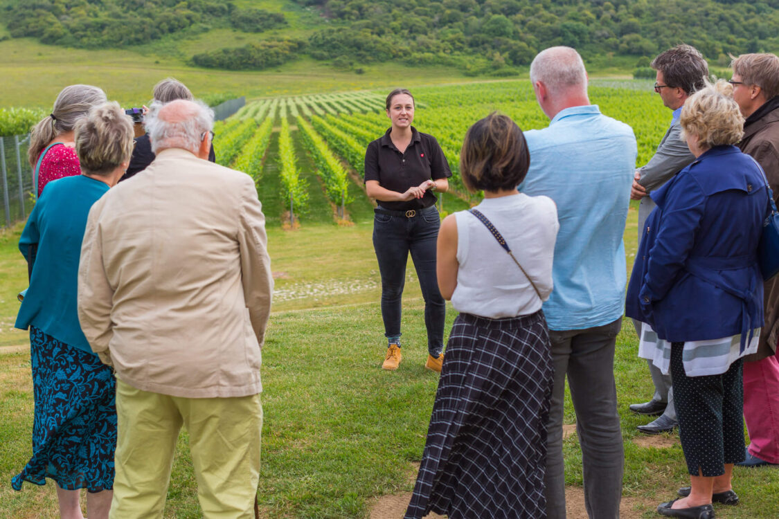 Rathfinny Vineyard Tour