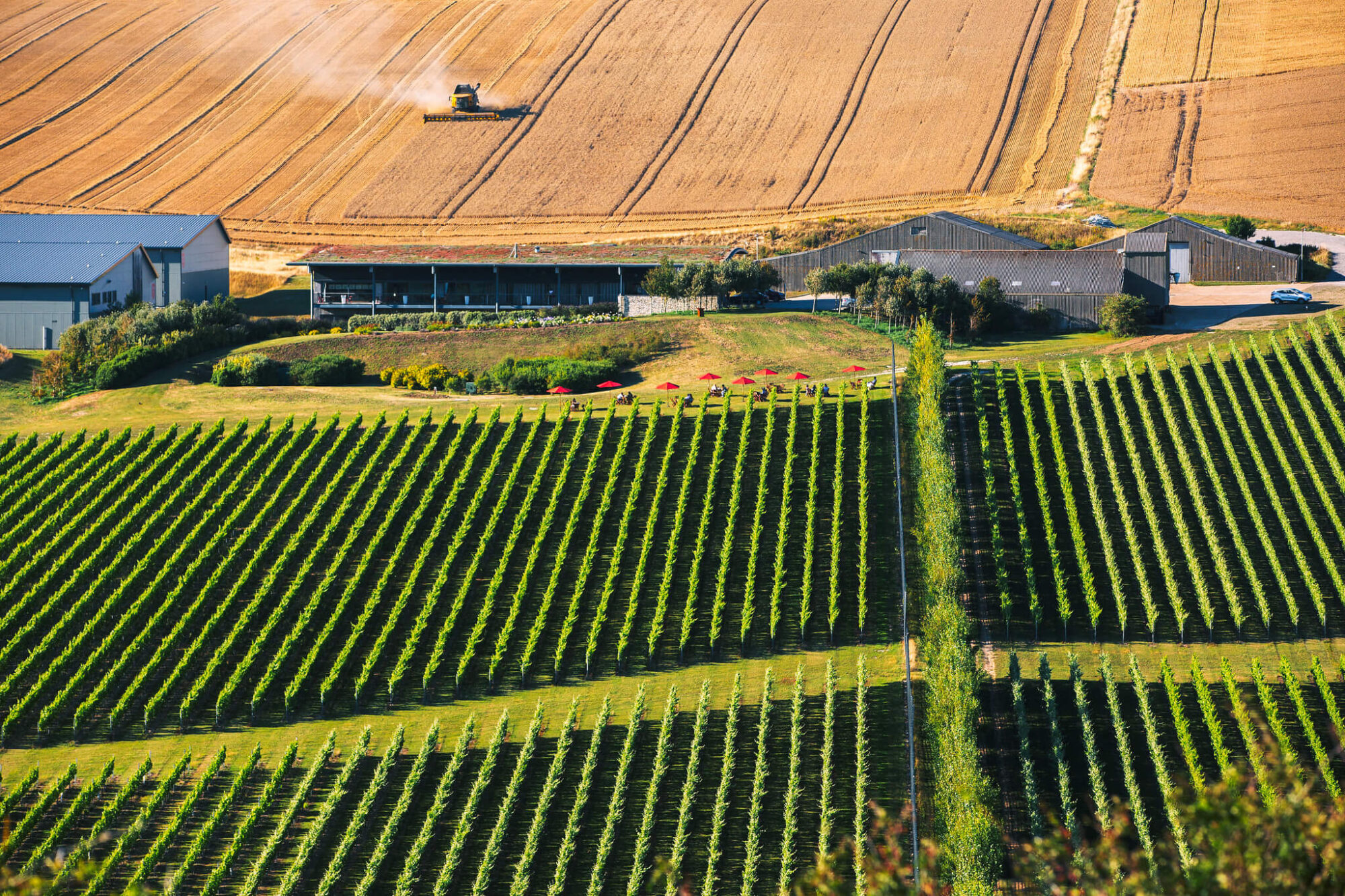 Rathfinny Wine Estate