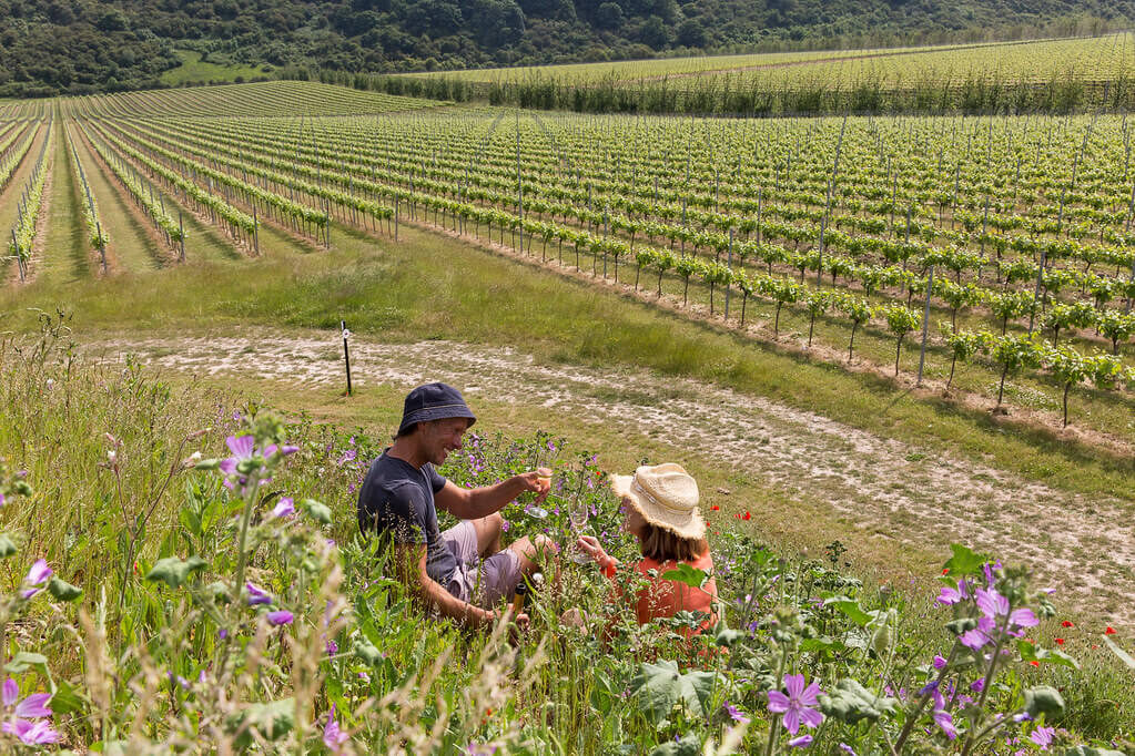Drinking a Glass of Wine in the Vineyard