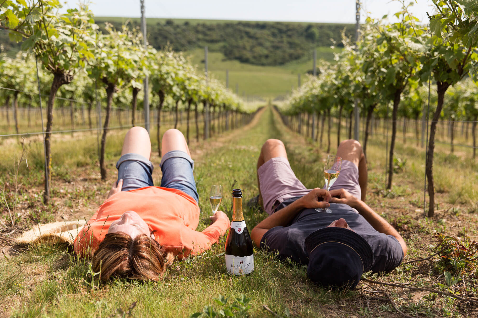 Vineyard workers lying down
