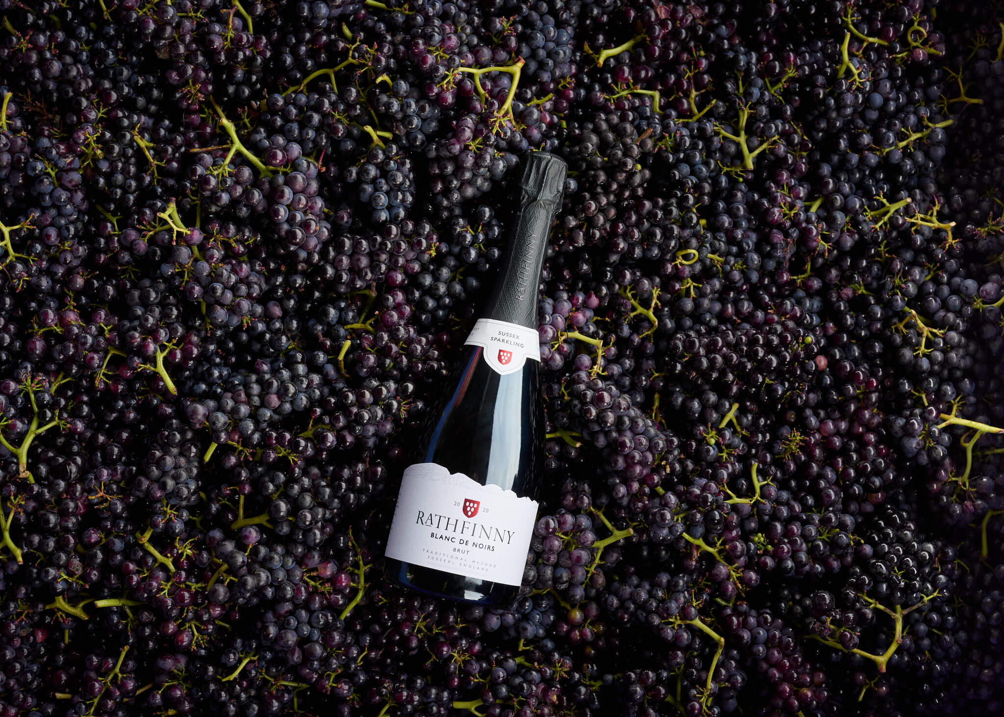 Wine Club: A Journey through Pinot Noir