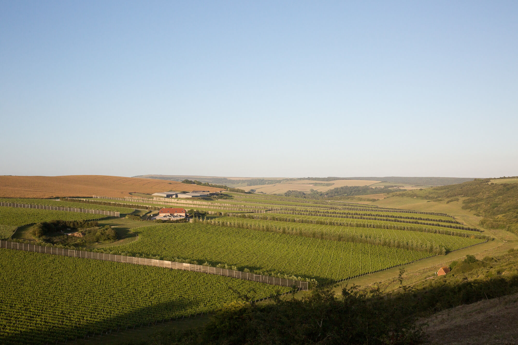 Flint Barns Harvest Dinner, from Rathfinny Wine Estate