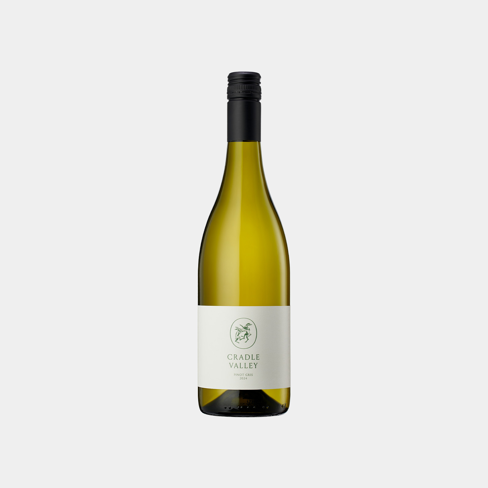 Pinot-Gris-2024-no-